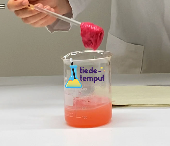 Tutkija pitää käsissään lasisauvaa, jolla nostaa punaisen limaklöntin dekantterilasista, jossa on punertavaa nestettä. Keskellä Tiedetemppu logo.